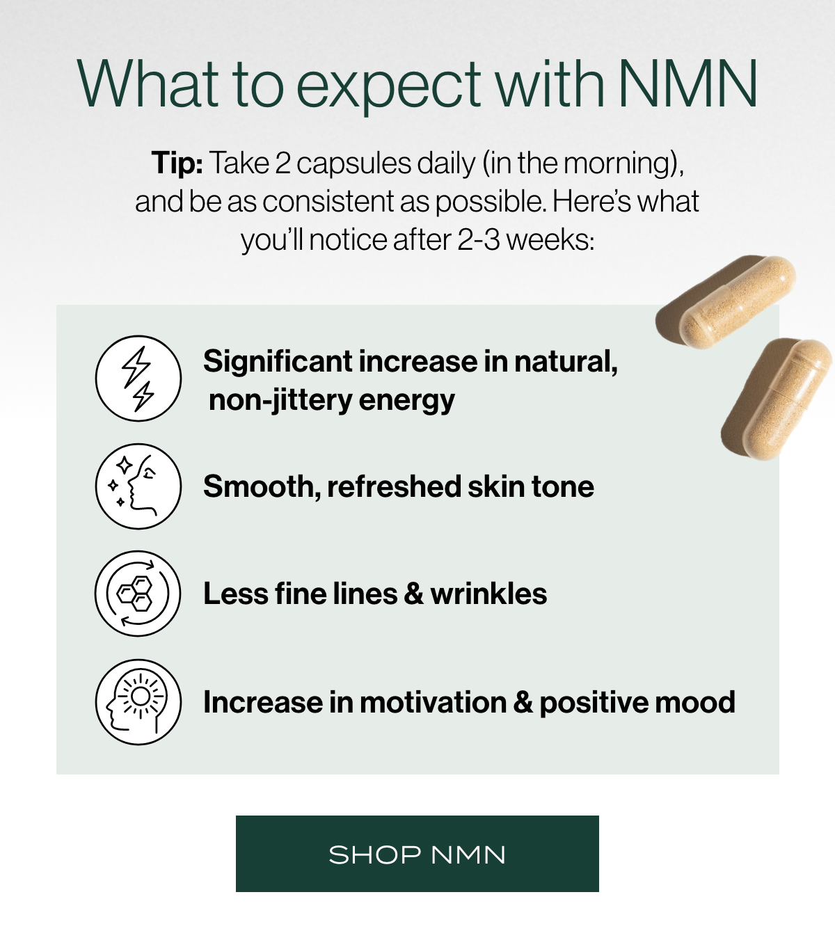 Four ingredients, one goal: healthy DNA