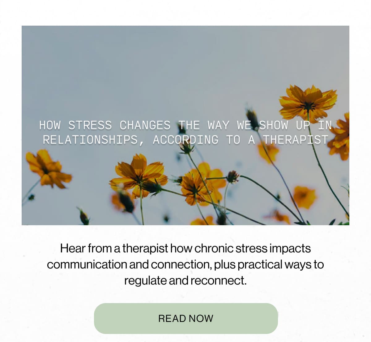 How Stress Changes the Ways We Show Up 