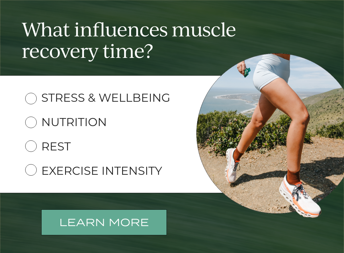 What influences muscle recovery time?