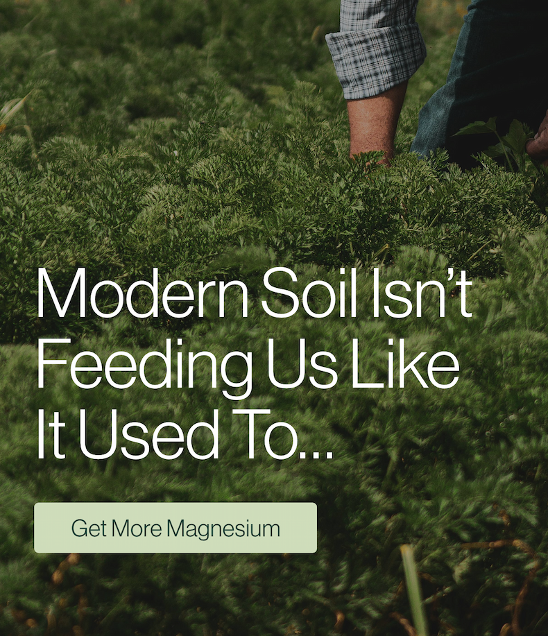 Modern Soil Isn't Feeding Us Like It Used To...
