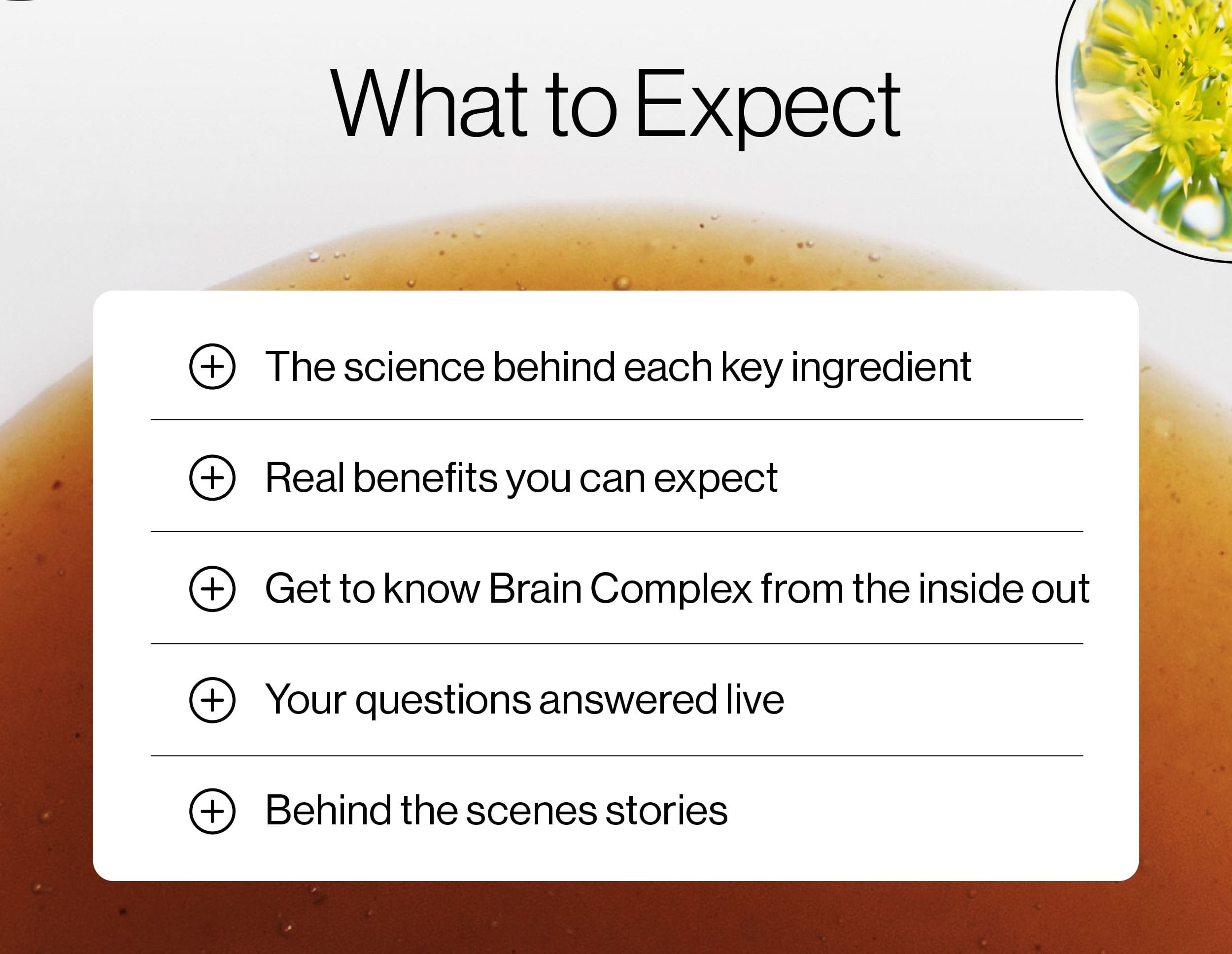WHAT TO EXPECT