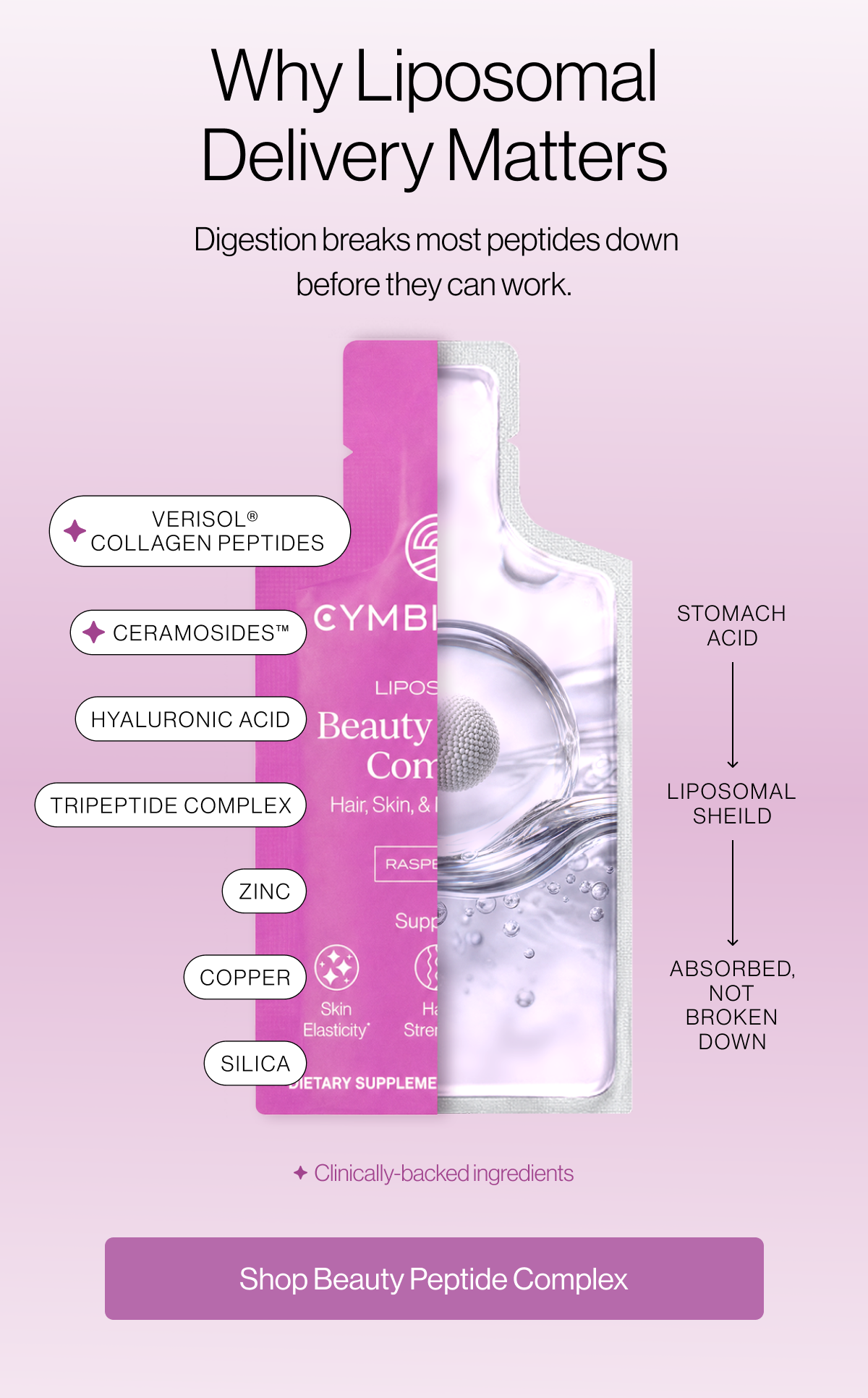 Why Liposomal Delivery Matters