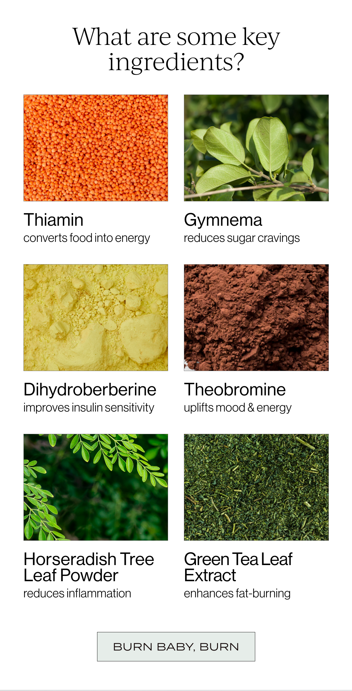 What are some key ingredients?