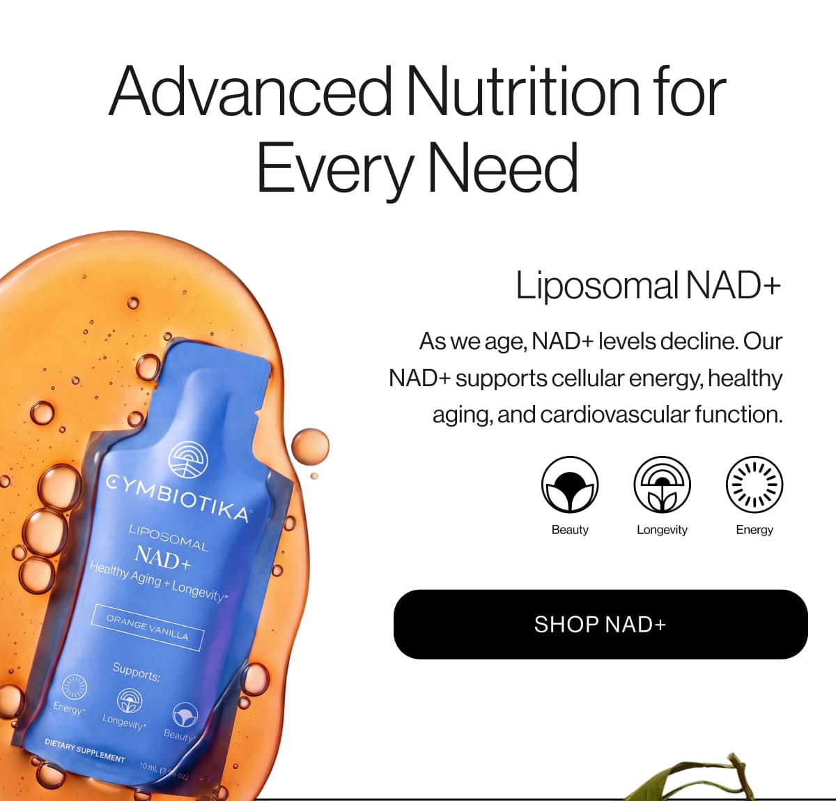 Liposomal NAD+