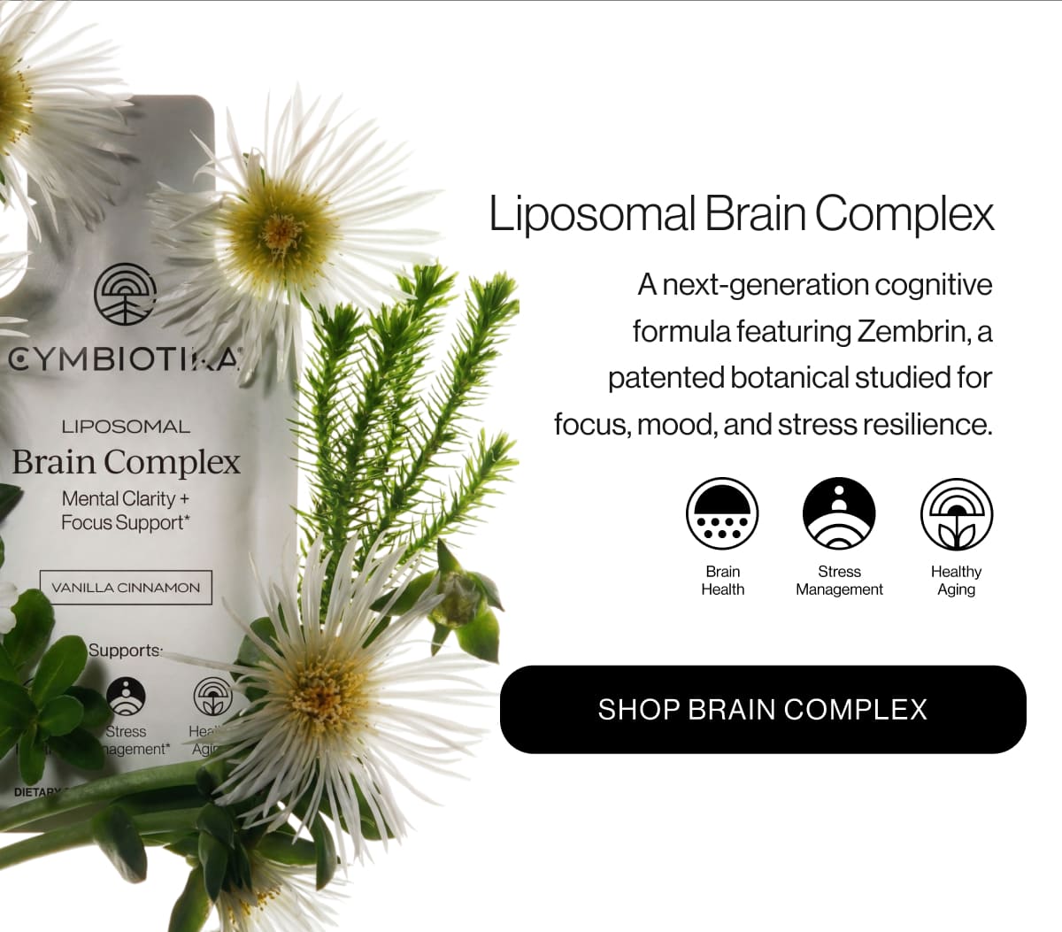 Liposomal Brain complex