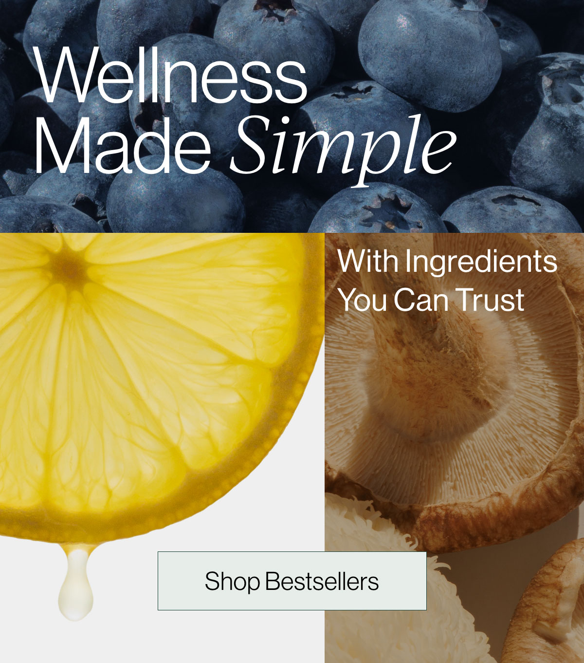 Wellness Made Simple