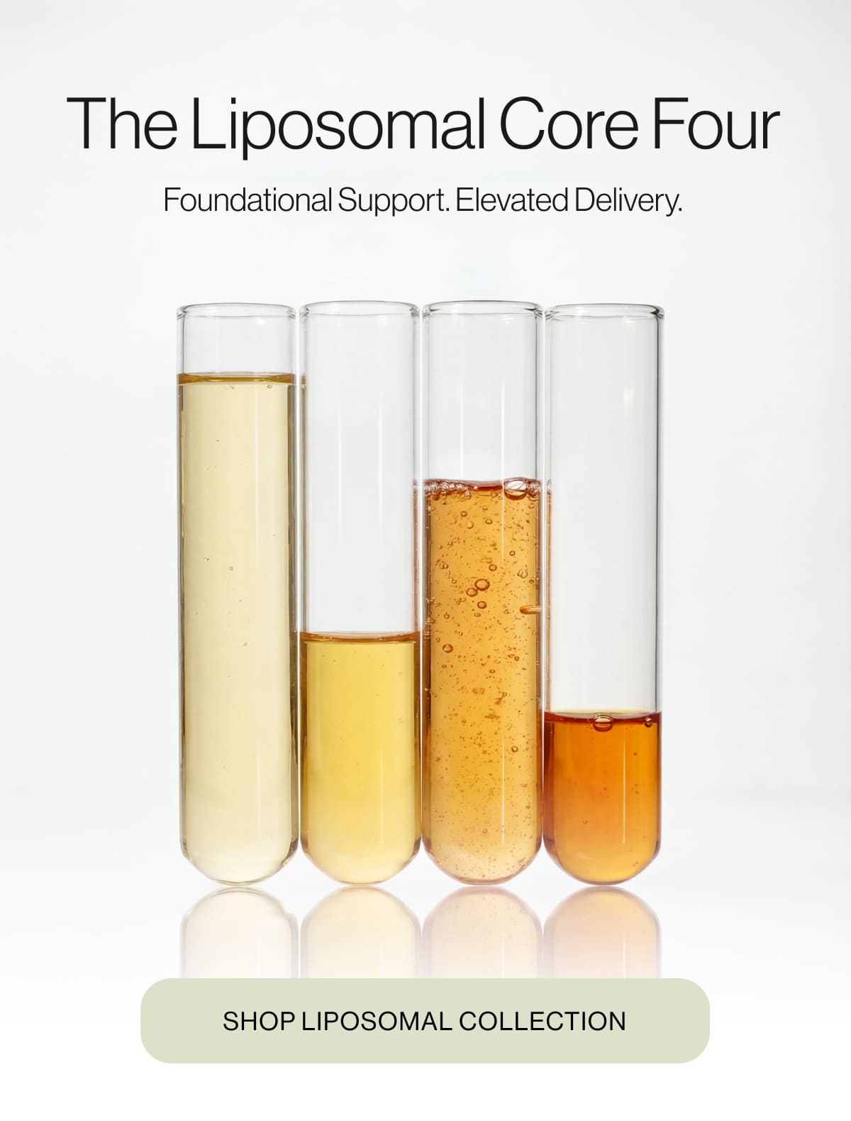The Liposomal Core Four
