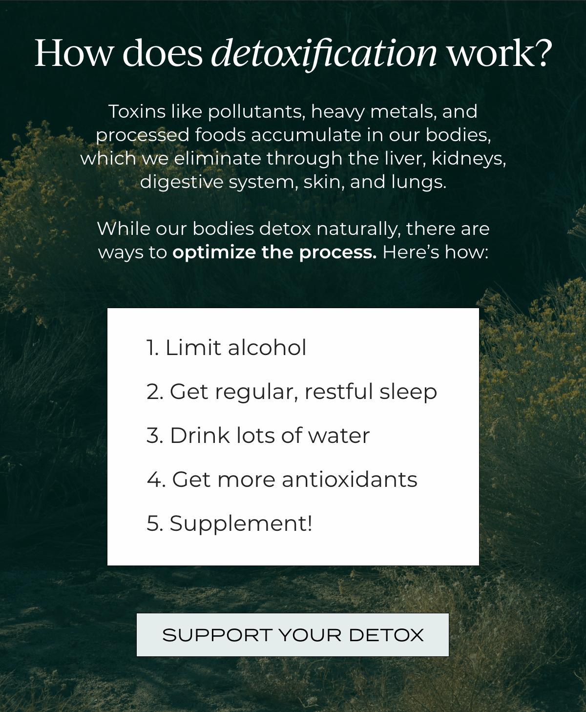How does detoxification work?