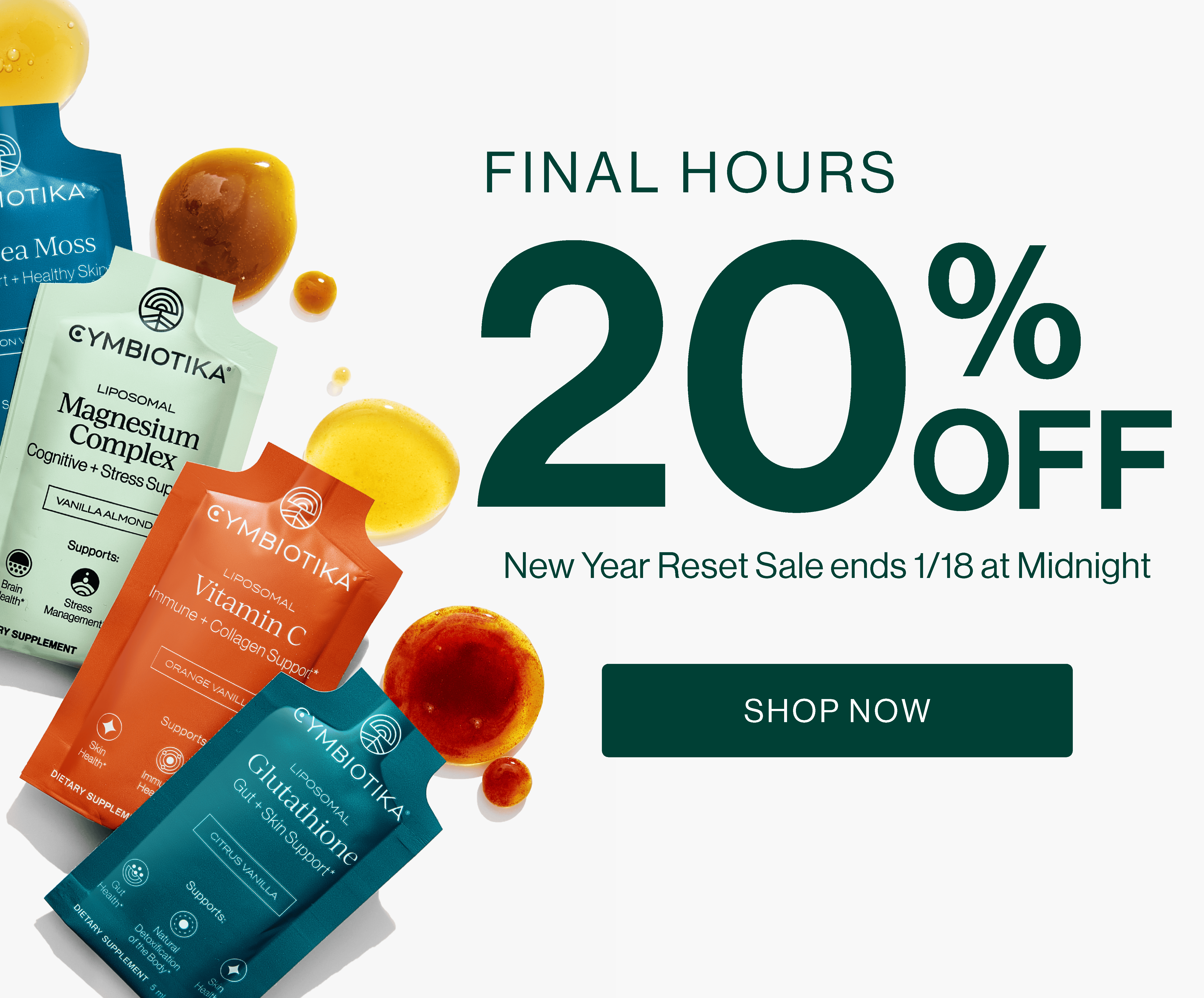 Final Hours 20% OFF