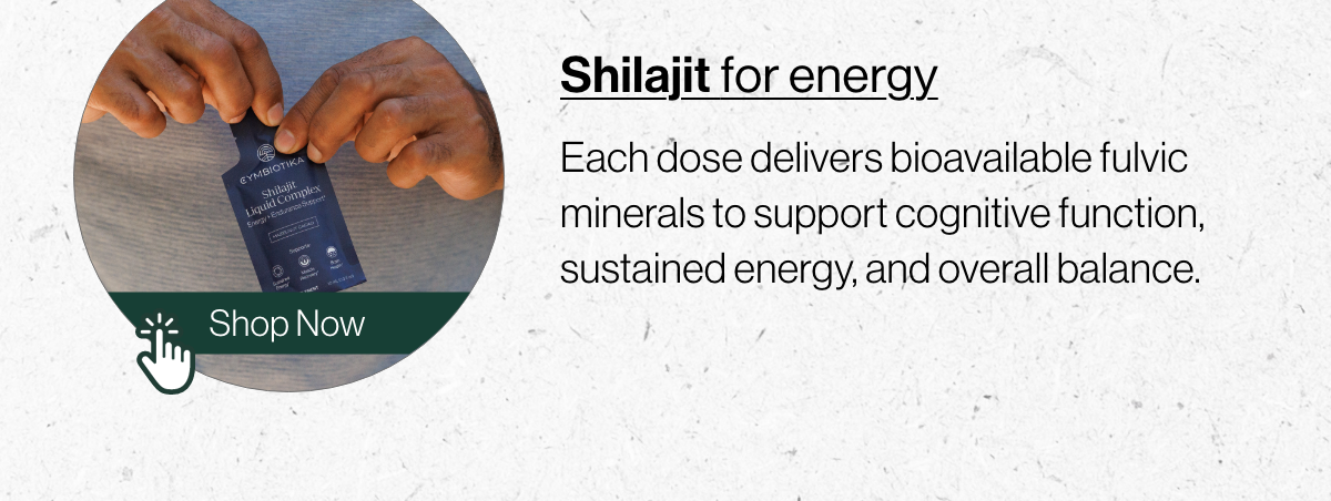 Shilajit for energy