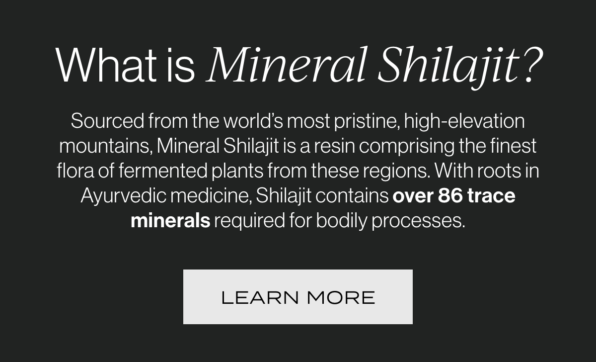 What is Mineral Shilajit?