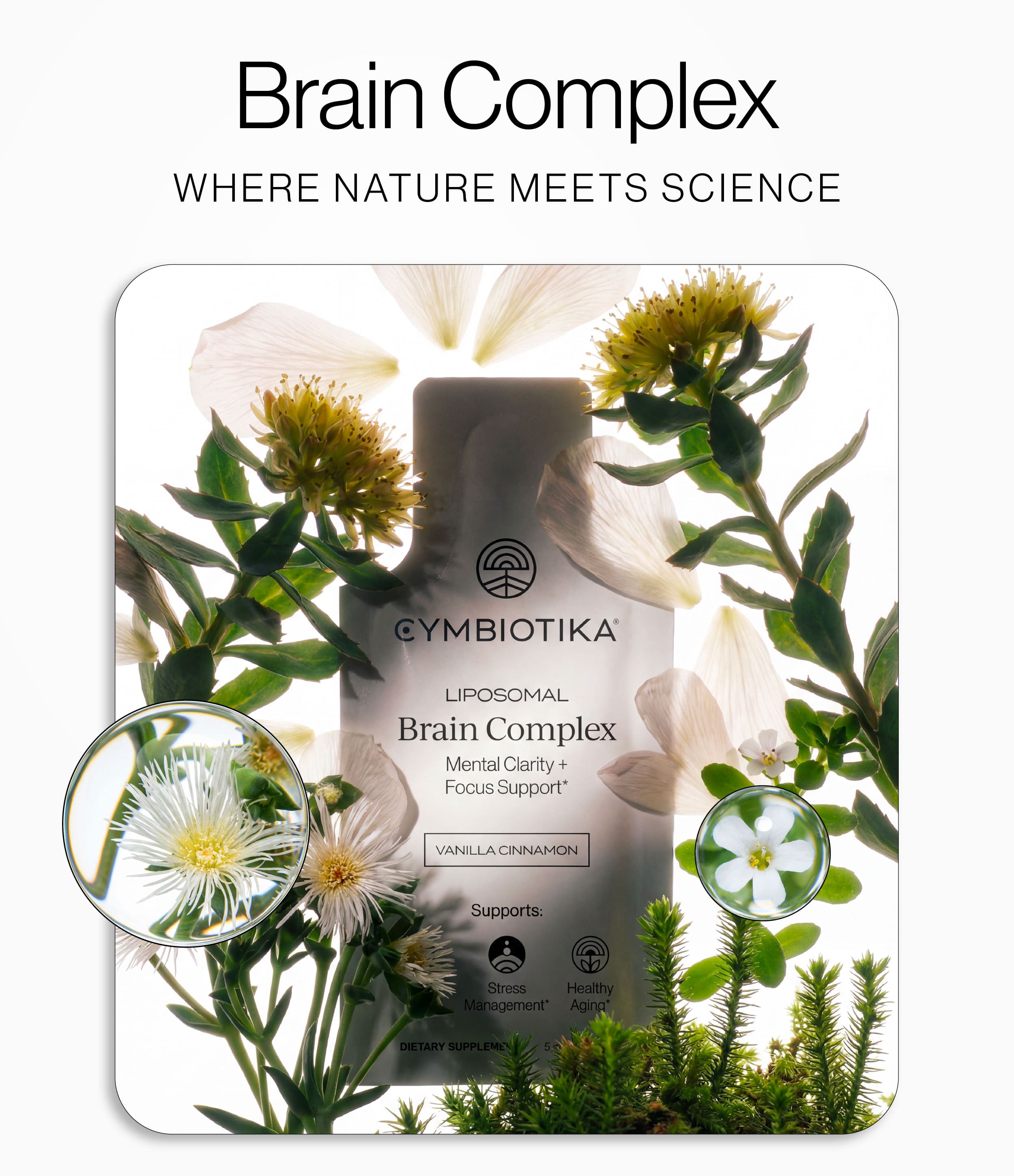 Brain Complex: Where Nature meets sciece