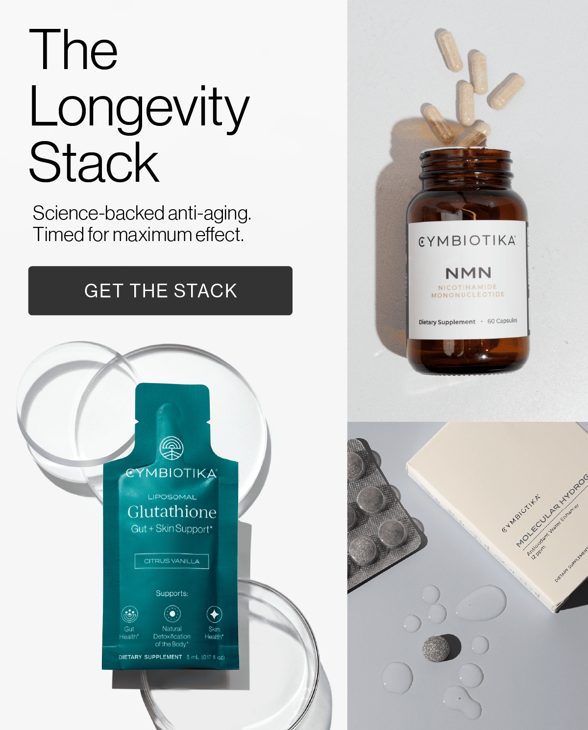 The Longevity Stack