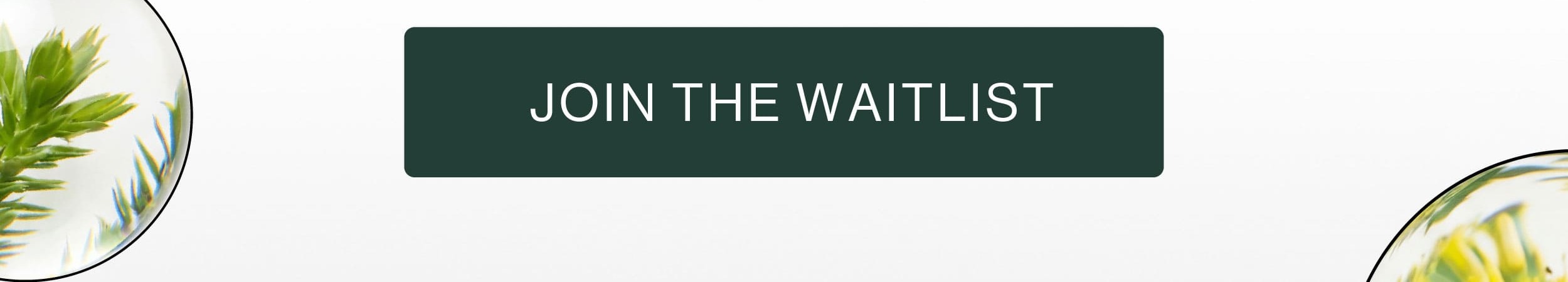 JOIN THE WAITLIST