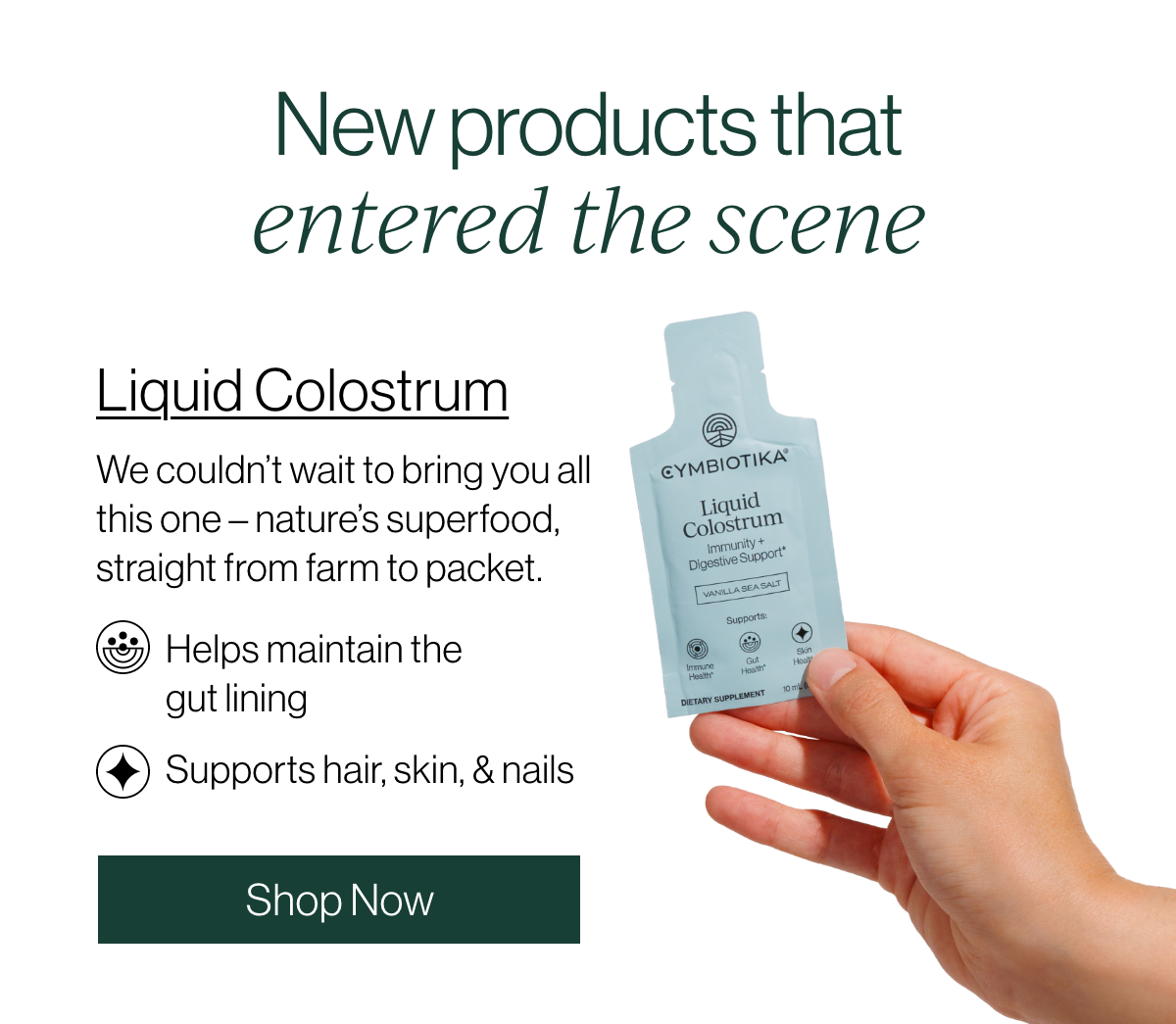New products that entered the scene