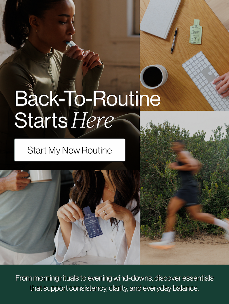Back to Routine Starts Here
