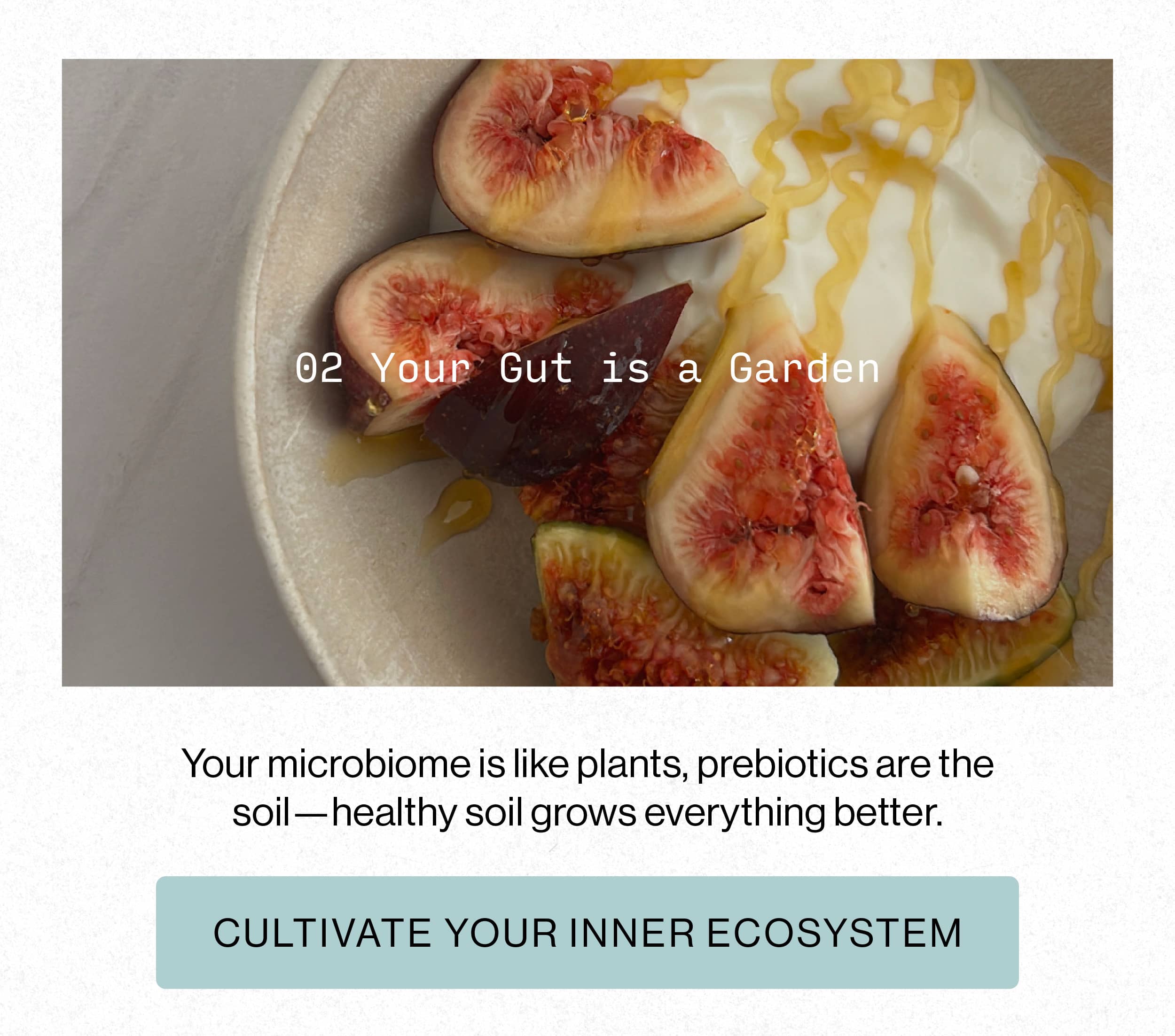 2. Your Gut is a Garden 