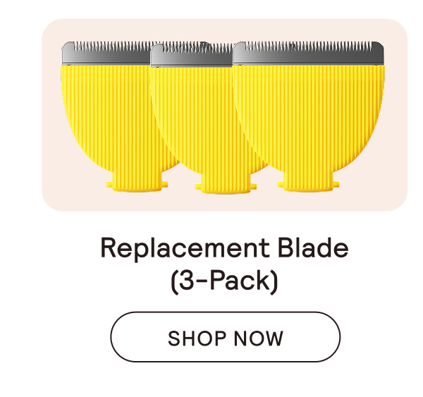 Replacement Blade 3-Pack