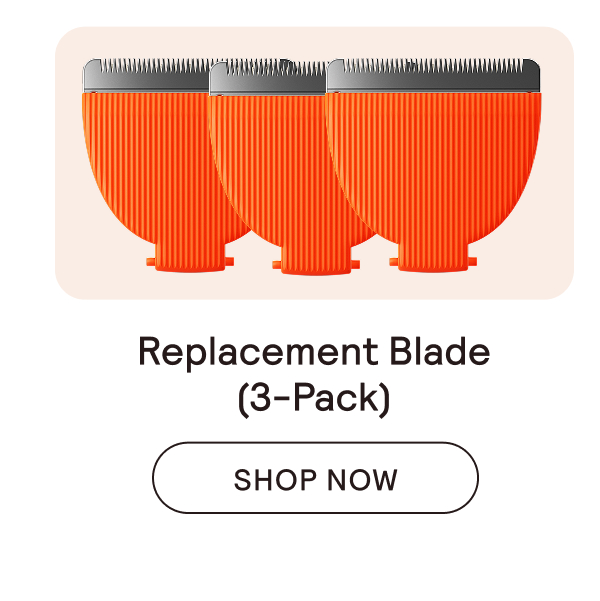 Replacement Blade 3-Pack