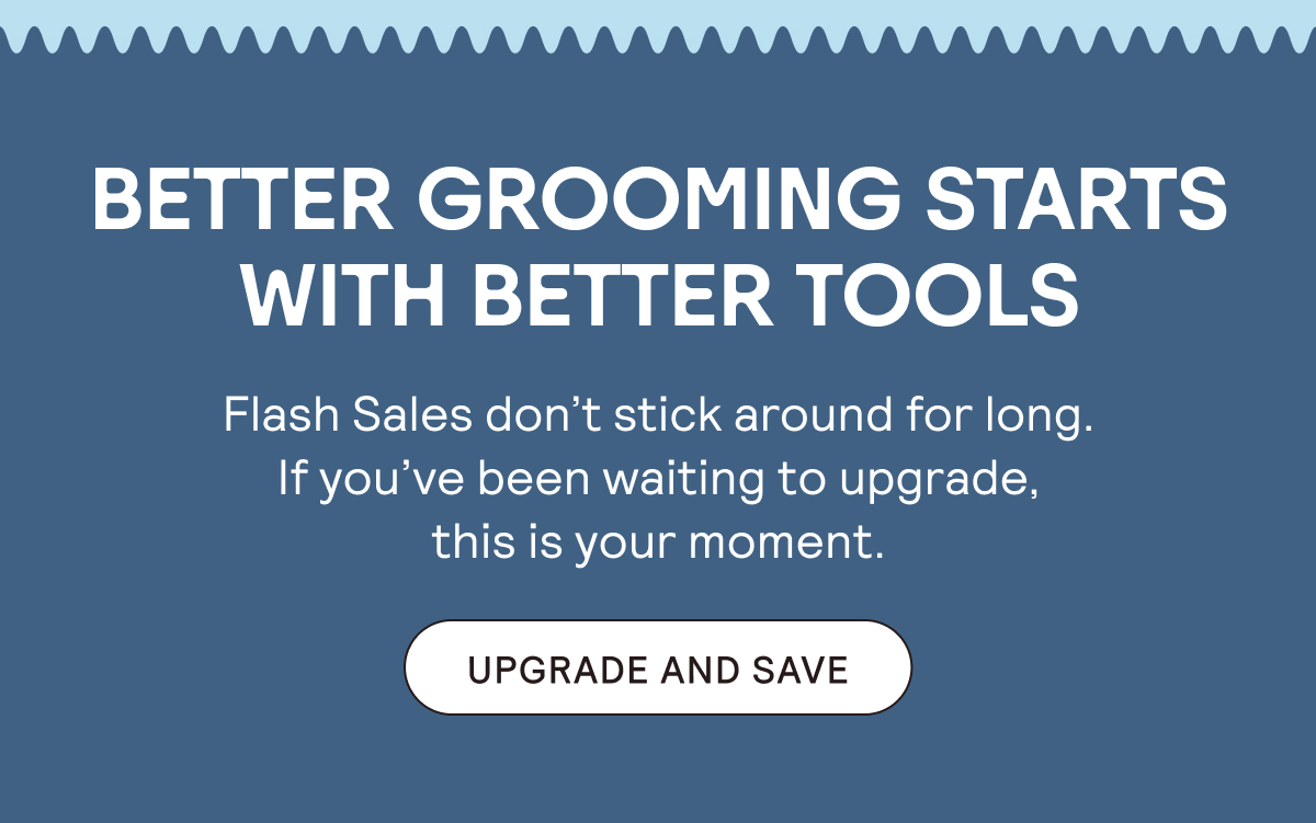 Better Grooming Starts With Better Tools