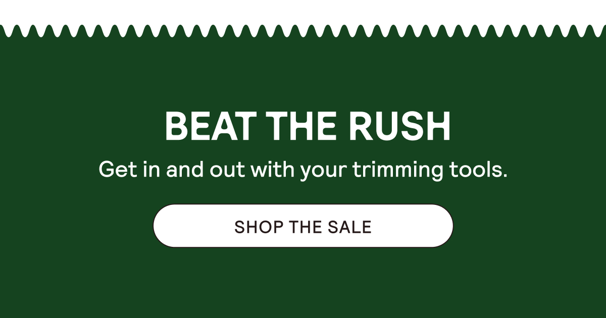 Beat the Prime Day Rush. Shop the Sale.