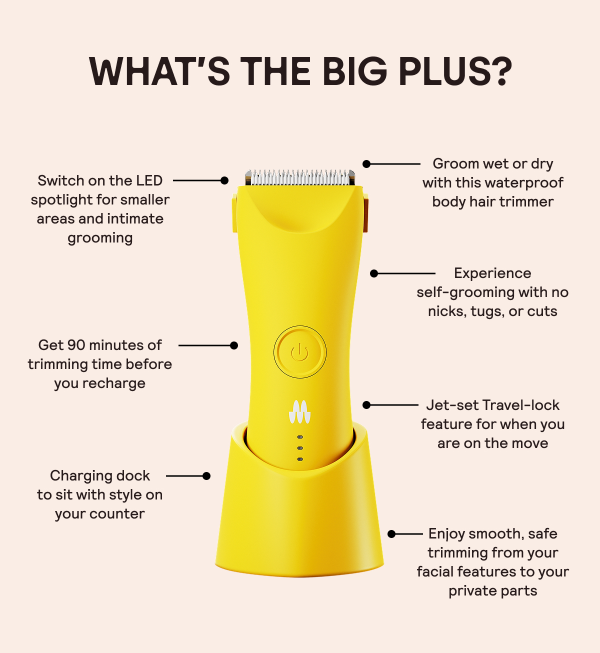 The Big Plus