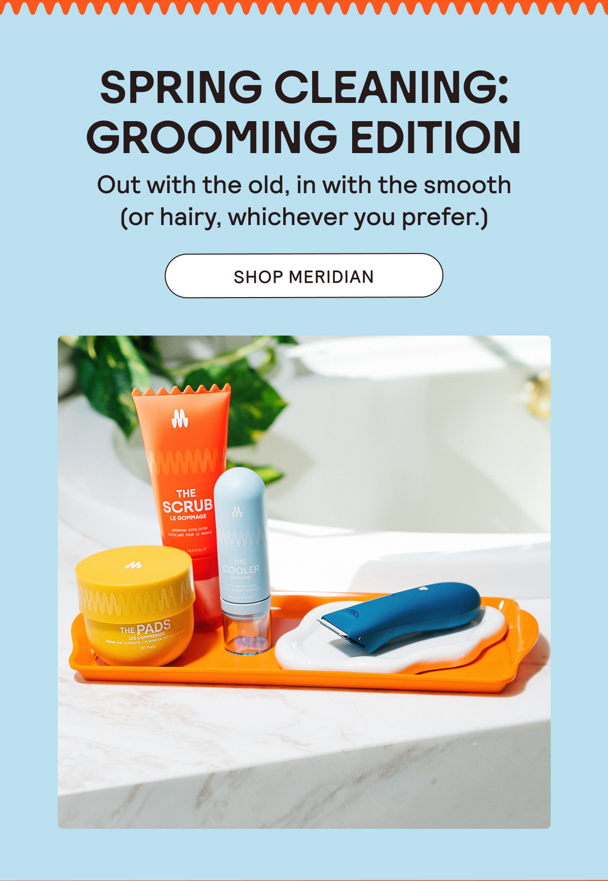 Spring Cleaning: Grooming Edition. Shop Meridian.