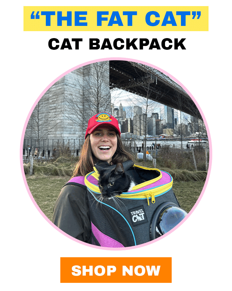 The Cat Backpack Everyone's Talking About ️🎒 Your Cat Backpack by