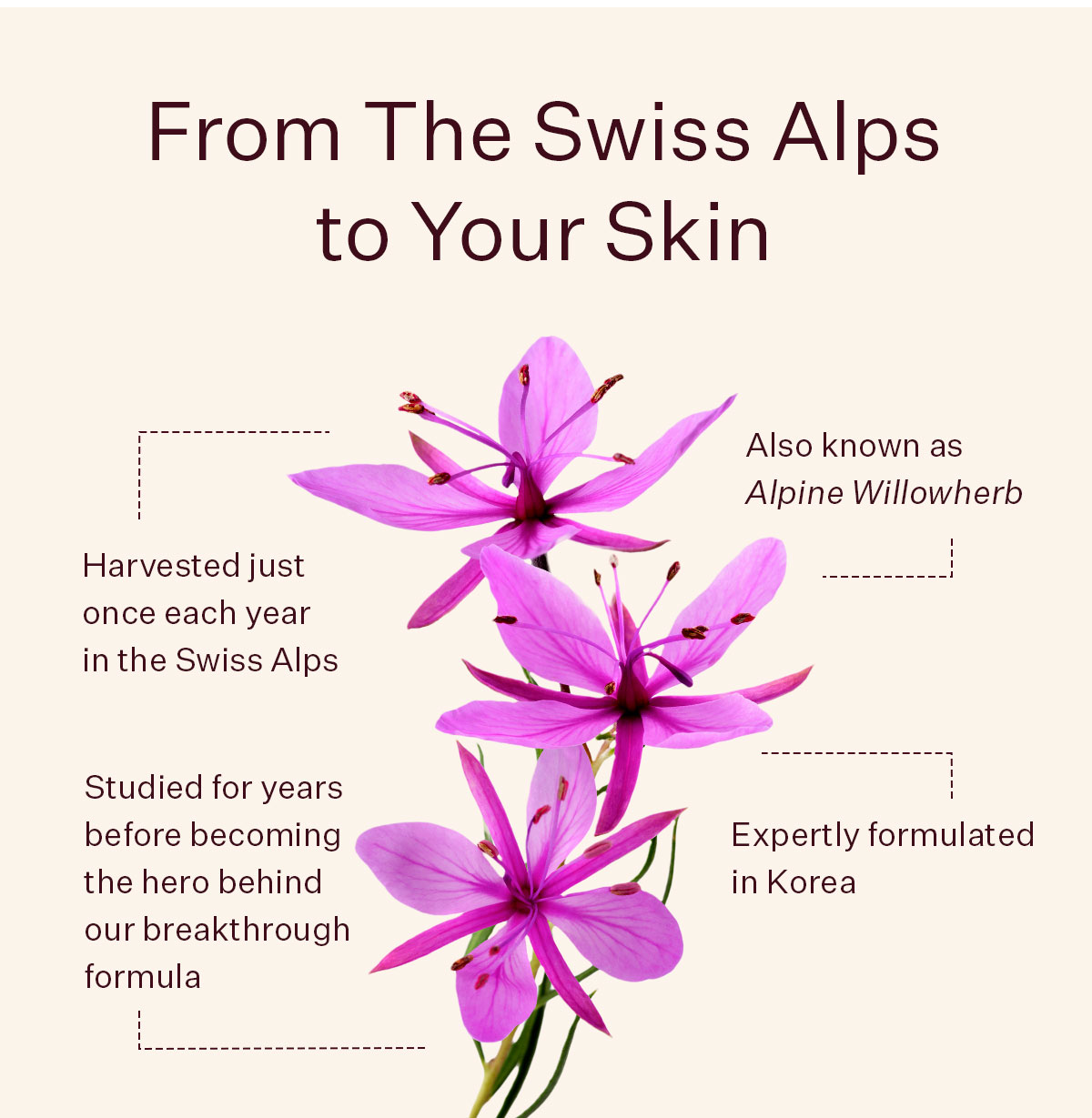 From the Swiss Alps to Your Skin