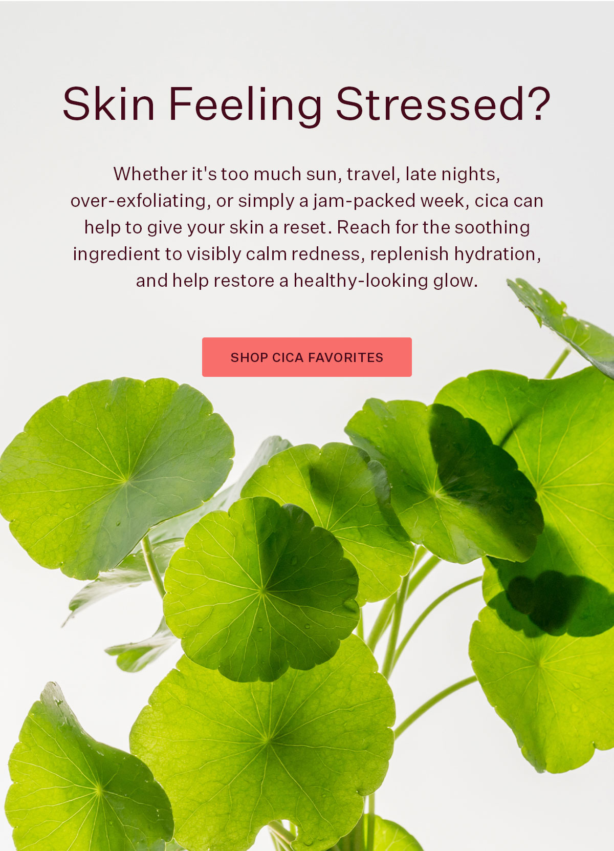 Skin Feeling Stressed?