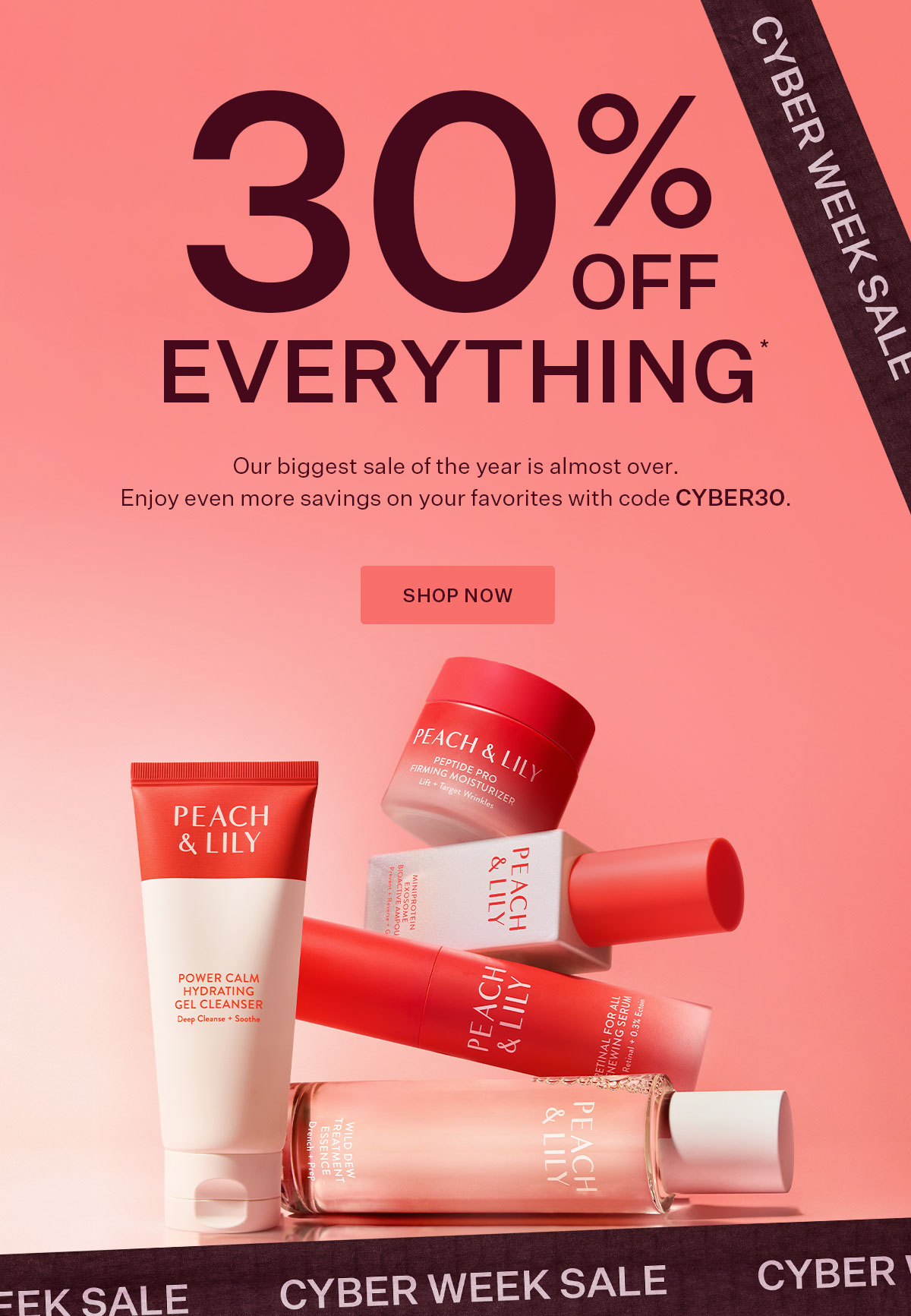 Now 30% Off Everything*  Use code CYBER30