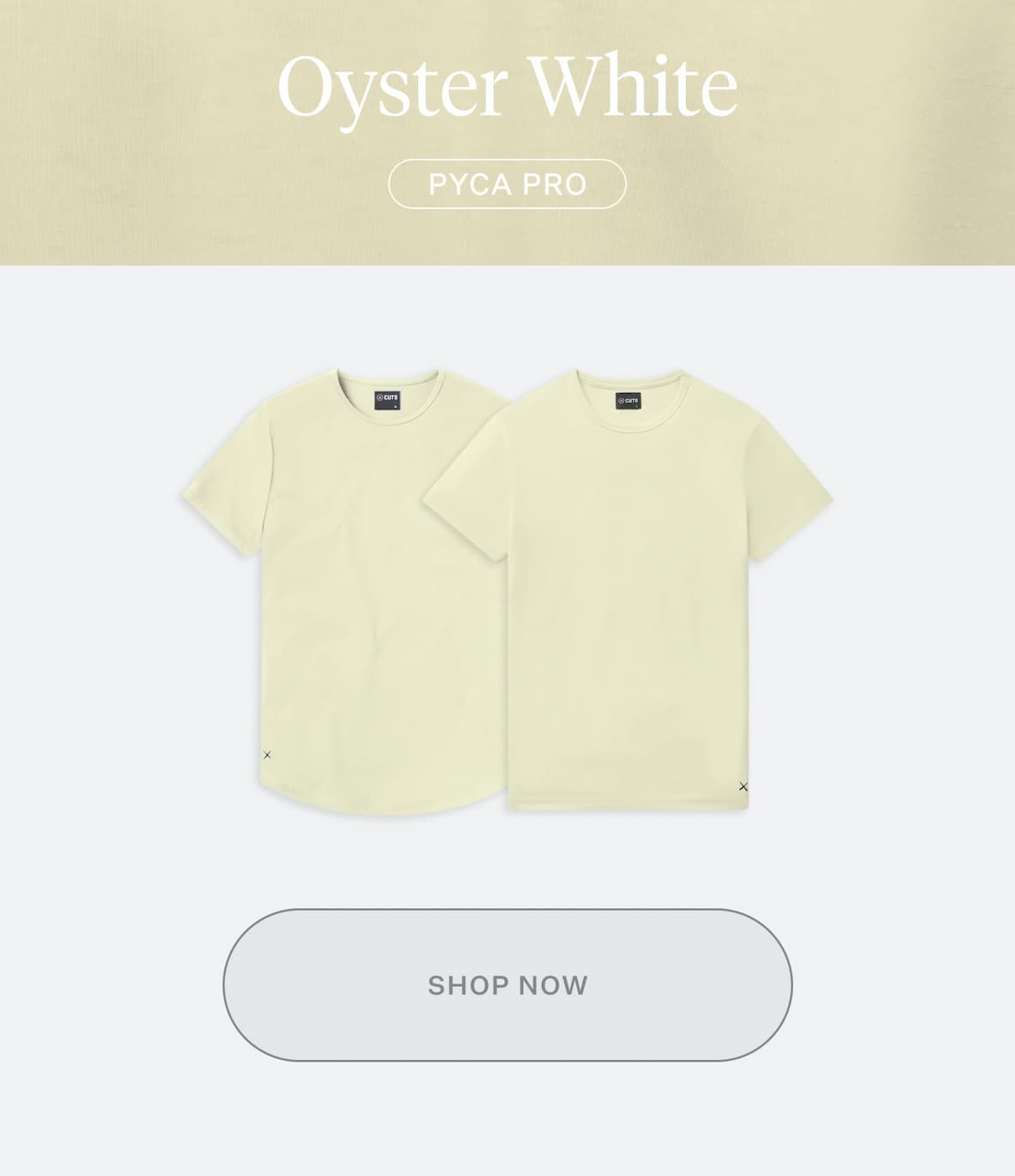 Shop Oyster White Color