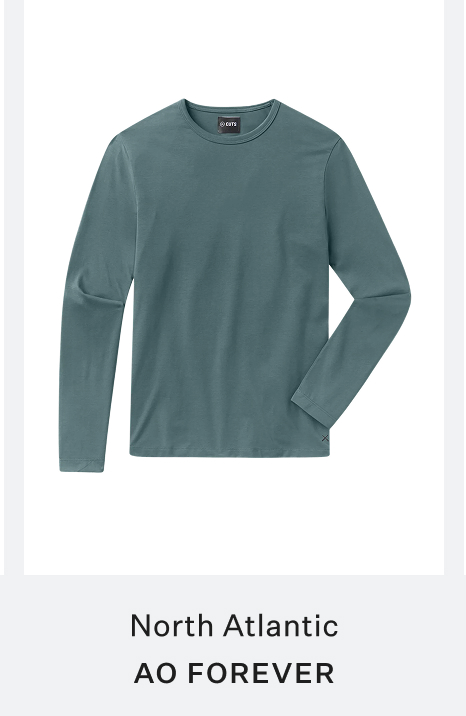 North Atlantic AO Forever