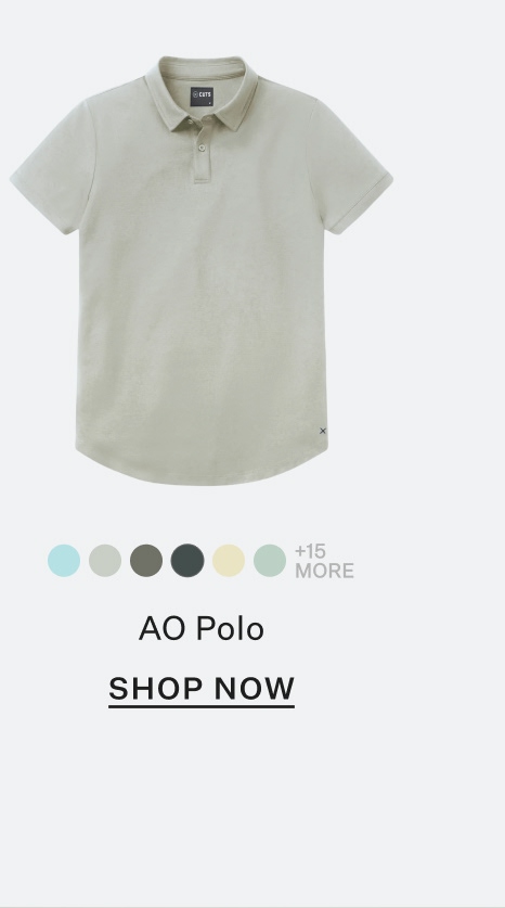 AO Polo