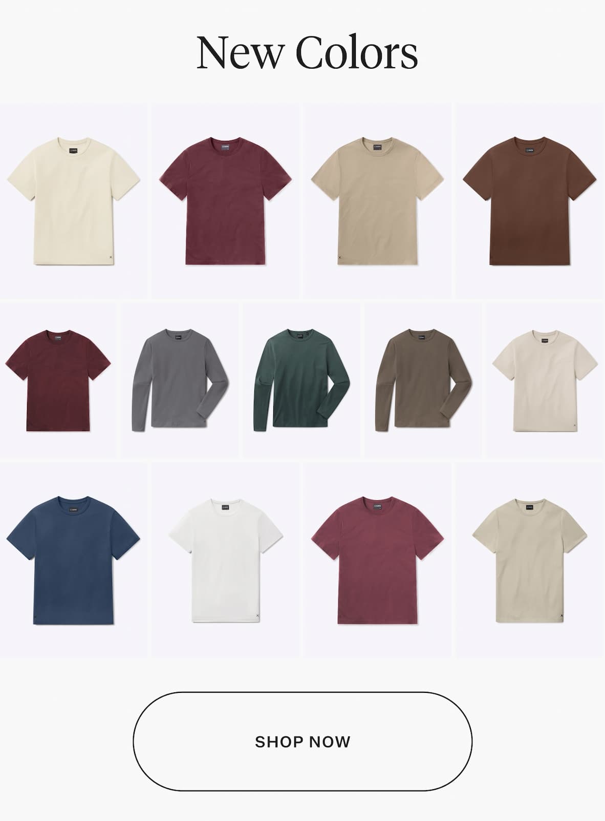 Shop AO Forever Tee New Colors