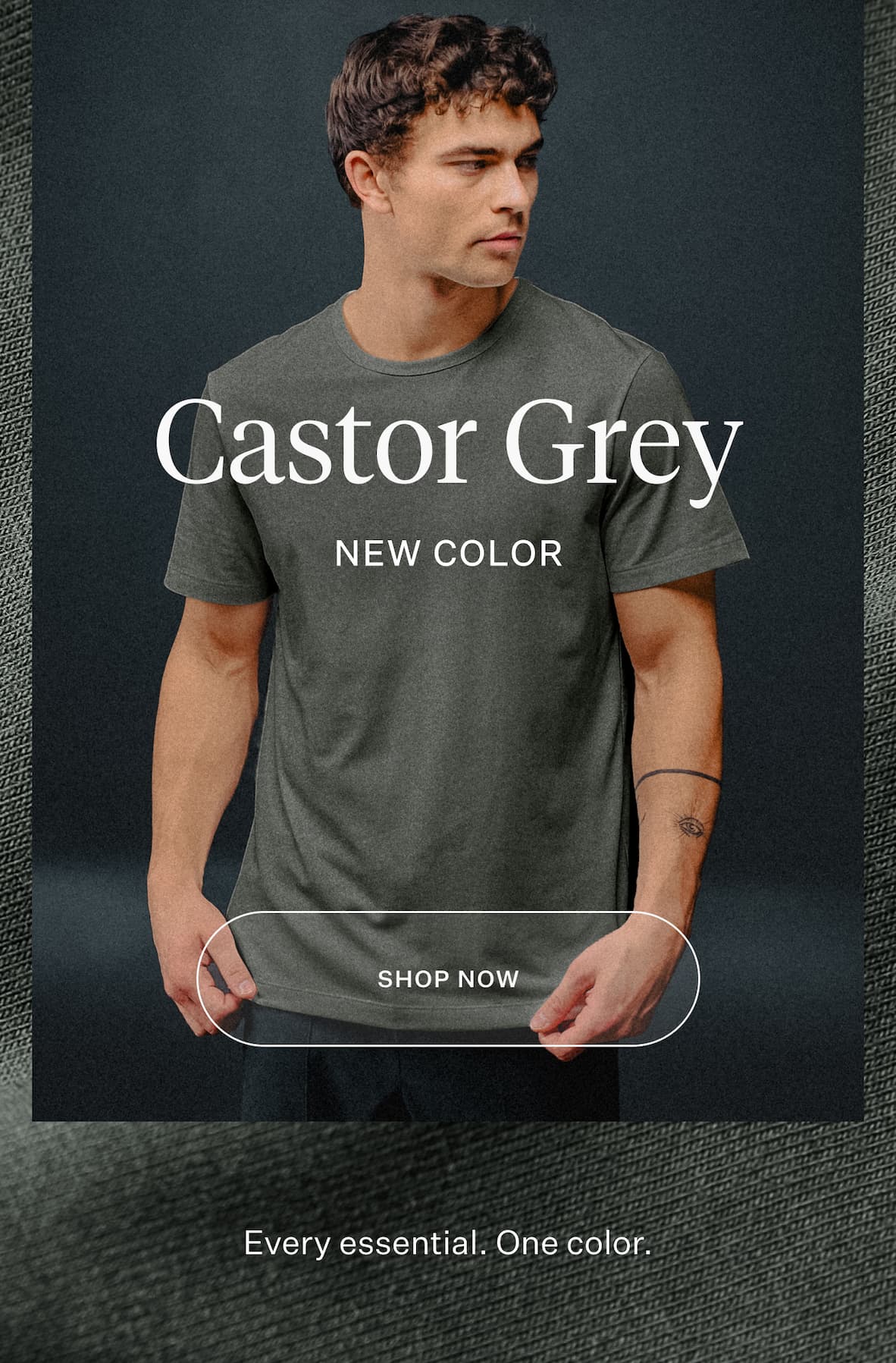 Castor Grey New Color