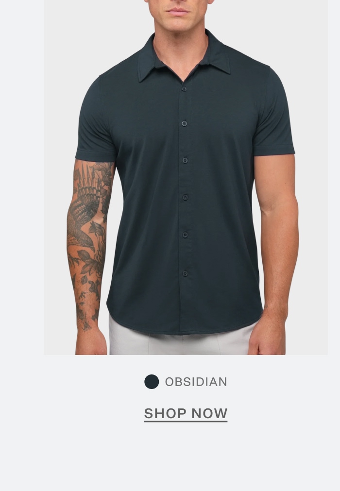 AO Button Up in Obsidian