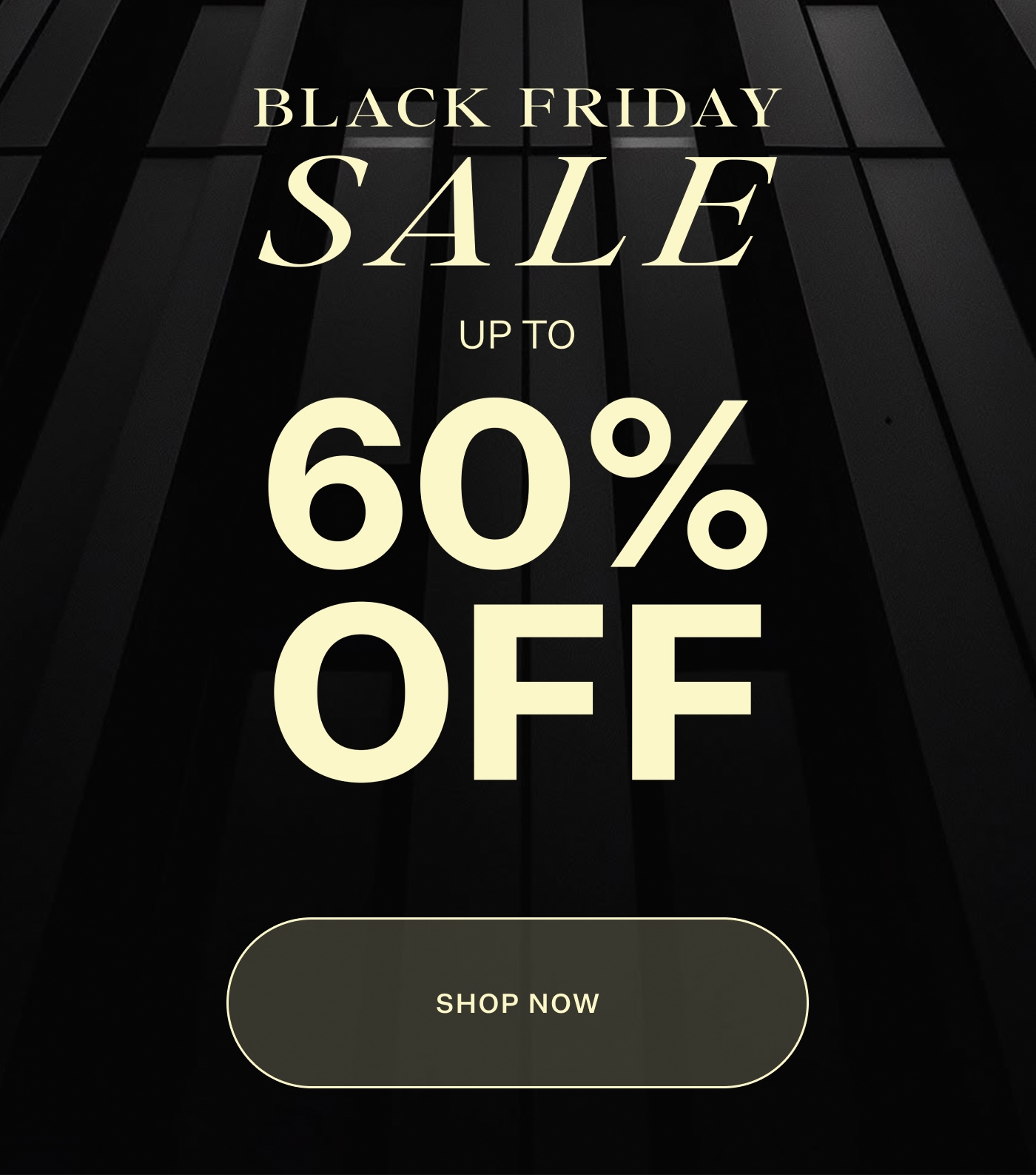 BLACK FRIDAY SALE