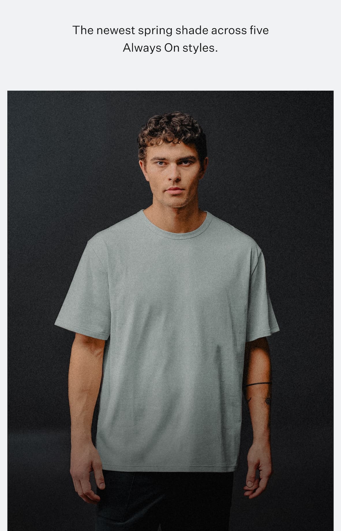 AO Collection - Metal