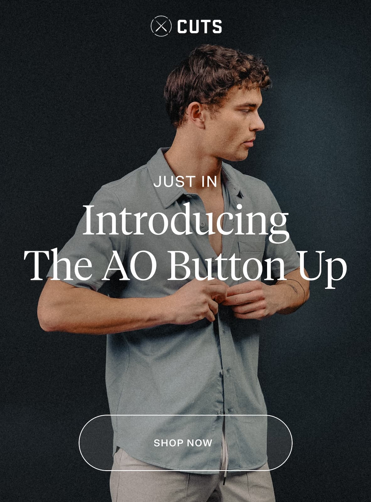 Shop the AO Button Up