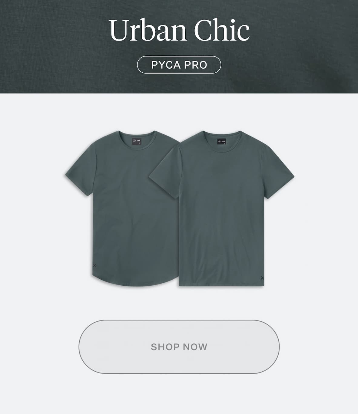 Shop Urban Chic Color