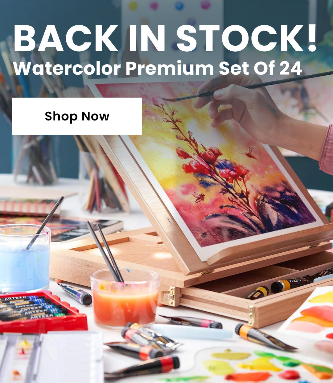 Shop Watercolor set of 24