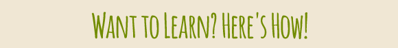 Want To Learn? Here's How!