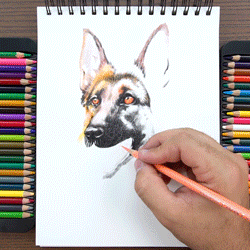 HOT Colored Pencils by ARTEZA