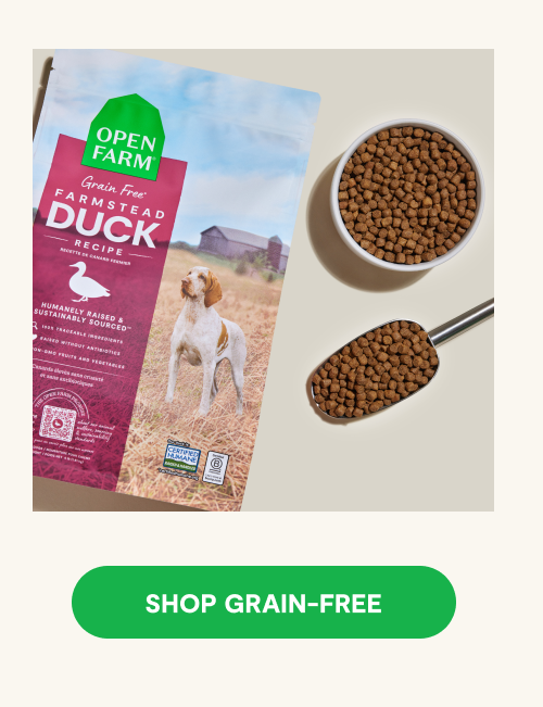 Farmstead Duck Grain-Free Dog Kibble