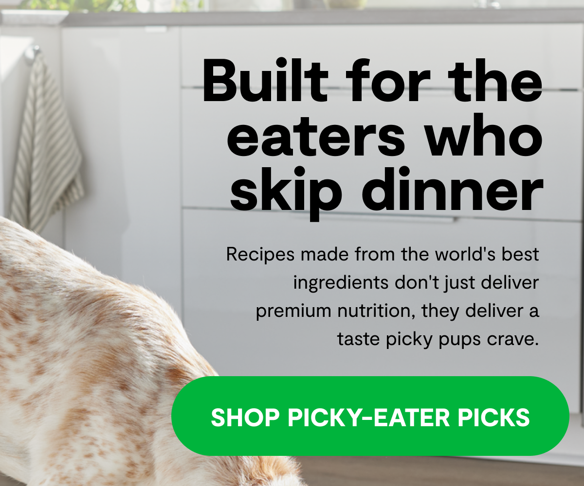 Built for the eaters who skip dinner | Recipes made from the world's best ingredients don't just deliver premium nutrition, they deliver a taste picky pups crave. [ SHOP PICKY-EATER PICKS ]