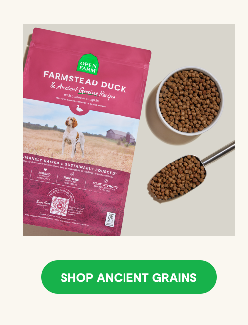 Farmstead Duck Ancient Grains Dog Kibble