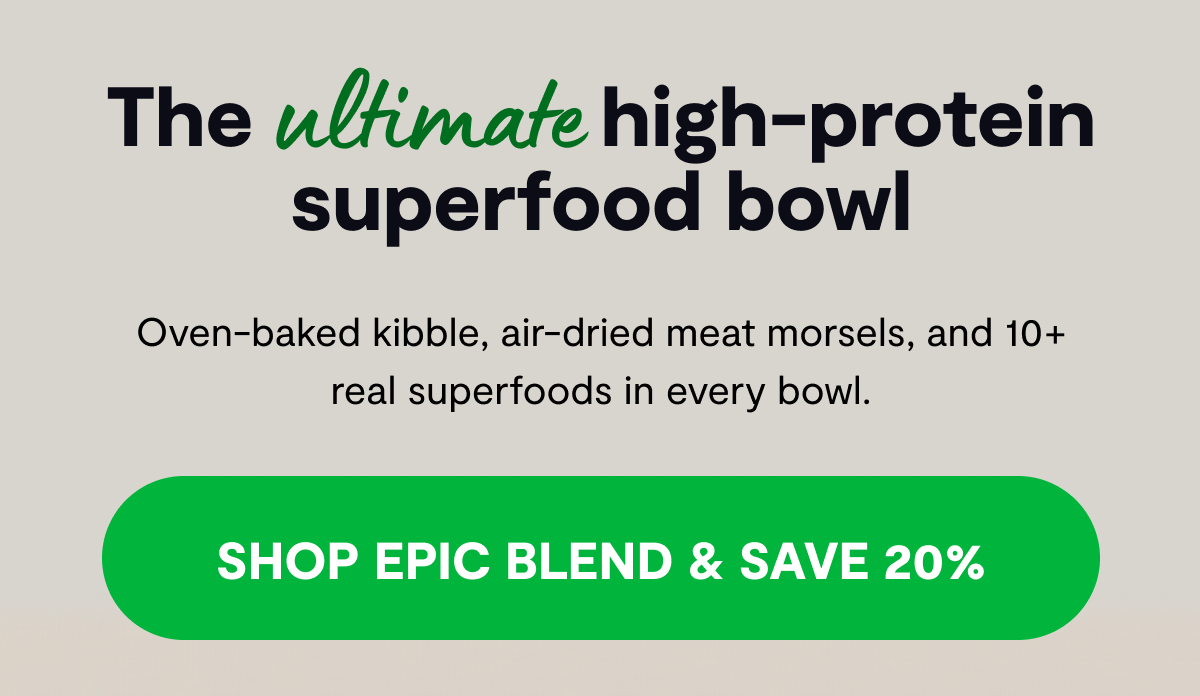 The ultimate high-protein superfood bowl Oven-baked kibble, air-dried meat morsels, and 10+ real superfoods in every bowl. [ SHOP EPIC BLEND & SAVE 20% ]