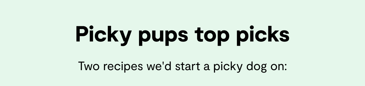 Picky pups top picks | Two recipes we'd start a picky dog on: