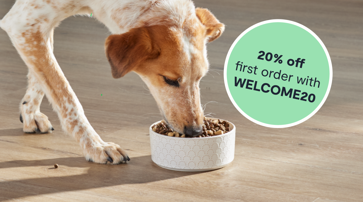 20% off first order with WELCOME20